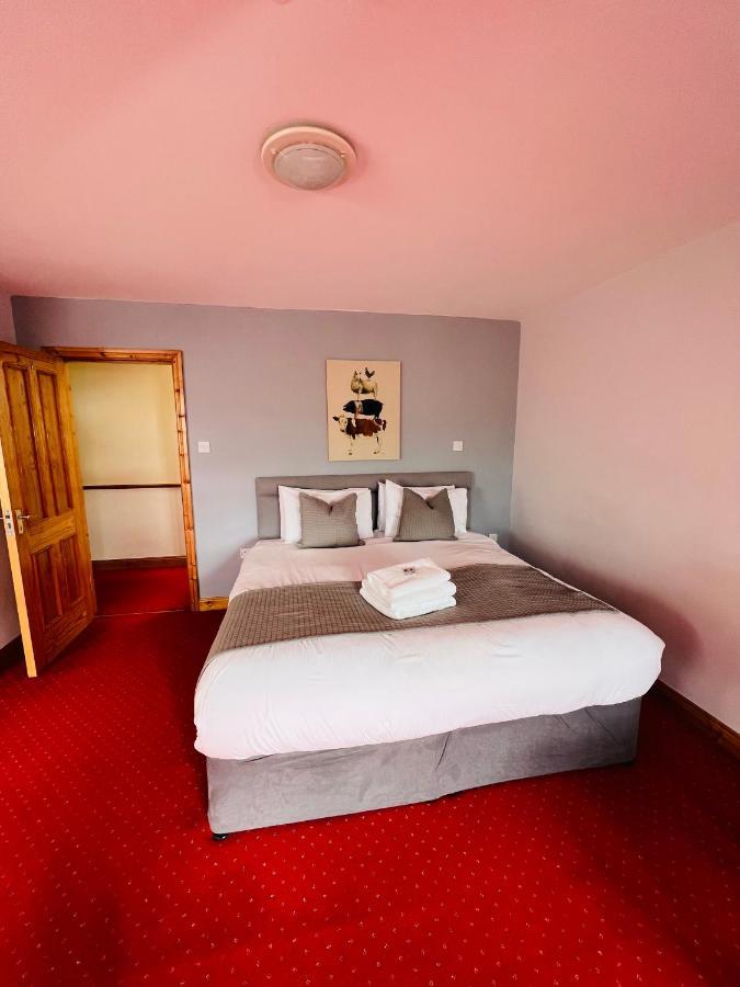Dingle Marina Lodge Dış mekan fotoğraf